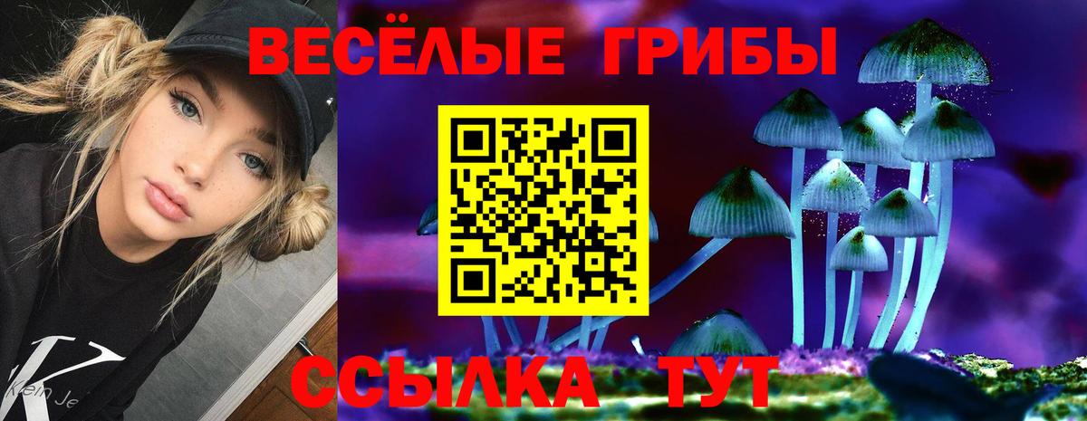 Галлюциногенные грибы мицелий Ступино